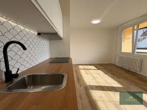 Pronájem bytu 1+kk, Plzeň, alej Svobody, 34 m2