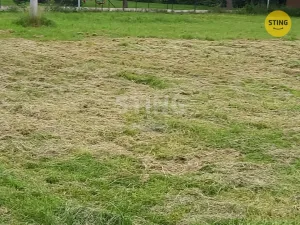 Prodej zahrady, Světlá Hora - Světlá, 774 m2