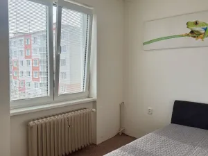 Pronájem bytu 2+1, Podbořany, Alšova, 51 m2