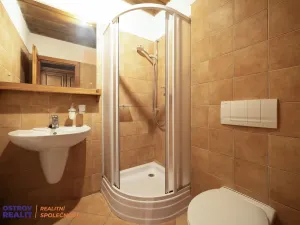 Prodej chaty, Bělá pod Pradědem - Bělá, 260 m2