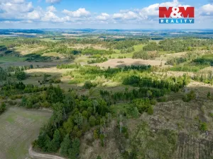 Prodej lesa, Horní Heřmanice, 31116 m2