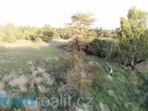 Prodej pole, Žďár, 7261 m2