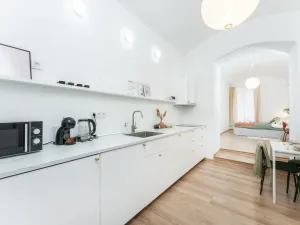 Pronájem bytu 2+kk, Praha - Vinohrady, Rumunská, 29 m2