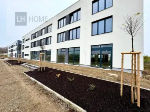 Pronájem obchodního prostoru, Velké Přílepy, 160 m2