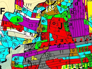 Dražba lesa, Žirovnice, 1388 m2