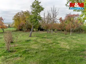 Prodej rodinného domu, Moravské Budějovice, Partyzánská, 200 m2