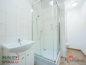 Pronájem bytu 2+kk, Mlékojedy, 51 m2