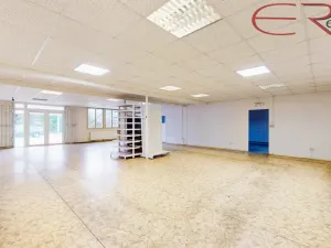 Pronájem skladu, Liberec, U Pramenů, 185 m2