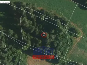 Prodej lesa, Strážek - Jemnice, 2666 m2