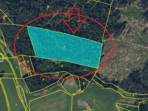 Prodej lesa, Havlovice, 13402 m2