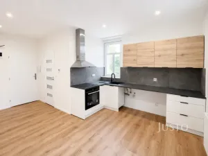 Pronájem bytu 1+1, Velké Březno - Valtířov, 47 m2