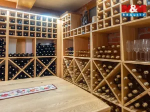 Prodej vinného sklepa, Velké Bílovice, Svatovavřinecká, 188 m2