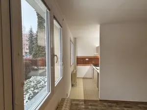 Pronájem bytu 1+kk, Pardubice, Nová, 36 m2