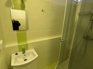 Pronájem bytu 1+kk, Pardubice, Nová, 36 m2