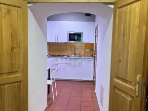 Prodej obchodního prostoru, Praha - Troja, 109 m2