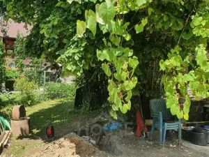 Prodej chalupy, Sluštice, 78 m2