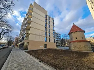 Pronájem obchodního prostoru, Praha - Břevnov, Radimova, 113 m2
