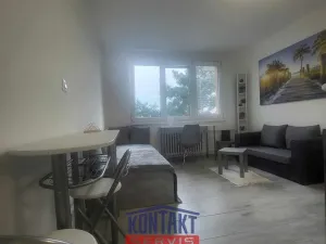 Pronájem bytu 1+kk, České Budějovice, Dobrovodská, 21 m2