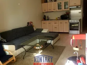 Pronájem bytu 2+kk, České Budějovice - České Budějovice 3, 45 m2