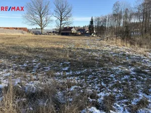 Prodej pozemku pro bydlení, Nová Cerekev, 955 m2