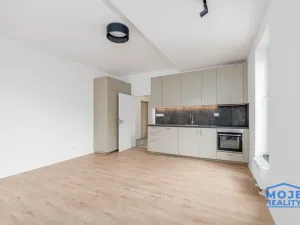 Pronájem bytu 3+kk, Plzeň - Jižní Předměstí, Železná, 59 m2