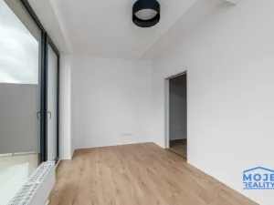 Pronájem bytu 3+kk, Plzeň - Jižní Předměstí, Železná, 59 m2