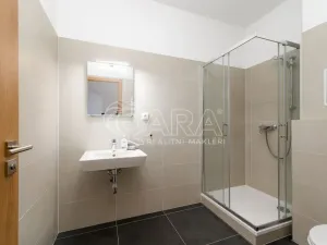 Pronájem bytu 2+kk, Jistebník, 50 m2