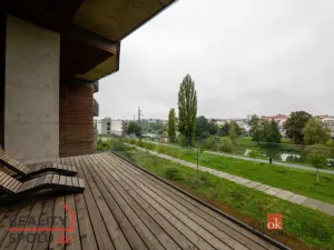 Pronájem bytu 2+kk, Plzeň - Východní Předměstí, Papírnická, 57 m2