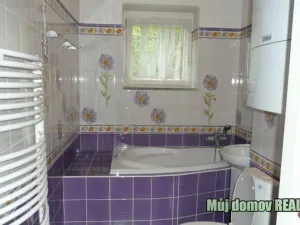 Pronájem bytu 2+1, Praha - Dejvice, Vostrovská, 50 m2