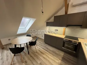 Pronájem bytu 2+kk, Olomouc, Hněvotínská, 88 m2