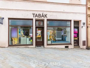 Pronájem obchodního prostoru, Znojmo, Obroková, 60 m2