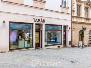 Pronájem obchodního prostoru, Znojmo, Obroková, 60 m2