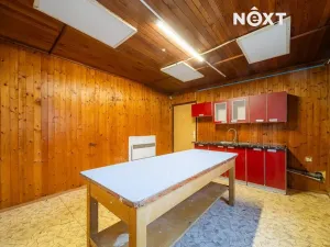 Prodej obchodního prostoru, Orlová, Petra Cingra, 300 m2