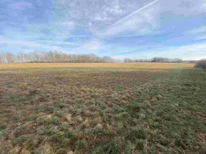 Prodej pozemku, Trstěnice, 1109 m2