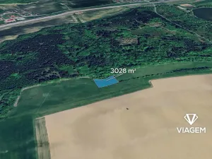 Prodej pole, Závišice, 3028 m2