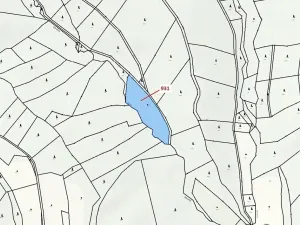 Dražba louky, Jílové u Držkova, 4019 m2