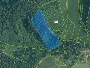 Dražba lesa, Rabí, 7006 m2