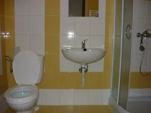 Prodej bytu 1+1, Břeclav, 45 m2