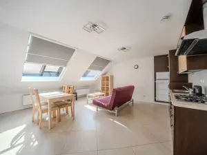 Pronájem bytu 2+kk, Praha - Žižkov, Ondříčkova, 52 m2