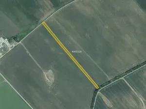 Prodej pole, Moravská Nová Ves, 12980 m2