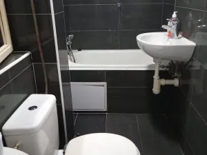 Pronájem bytu 1+1, Praha - Žižkov, Vlkova, 50 m2