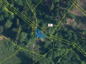 Dražba lesa, Jílové u Držkova, 151 m2