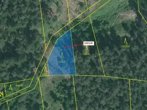 Dražba lesa, Milavče, 546 m2