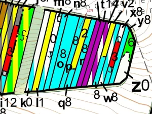 Dražba lesa, Dolní Vilémovice, 1134 m2