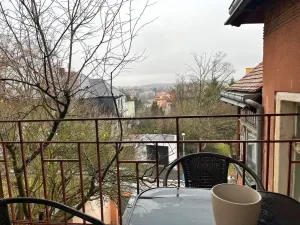 Pronájem bytu 3+1, Teplice, Josefa Šafaříka, 106 m2