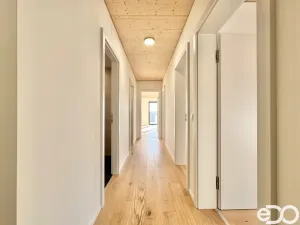 Pronájem bytu 4+kk, Praha, Ujgurská, 110 m2