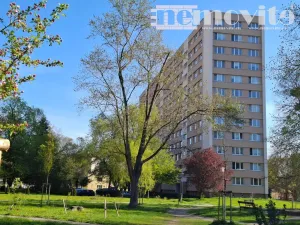 Prodej bytu 2+1, Ostrava, Na Robinsonce, 46 m2