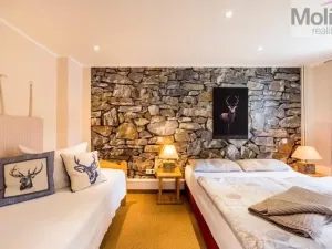 Prodej vícegeneračního domu, Jonsdorf, 320 m2