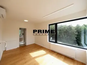 Pronájem rodinného domu, Praha - Řepy, U Lesoparku, 408 m2