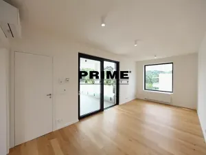 Pronájem rodinného domu, Praha - Řepy, U Lesoparku, 408 m2